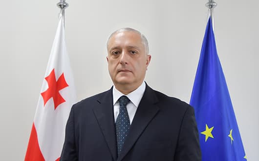 გიორგი ტყეშელაშვილი — მოადგილე