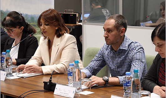 სააგენტოს ორგანიზებით ახალი საინფორმაციო და საკომუნიკაციო ტექნოლოგიების (ICT) სისტემის შესახებ სამუშაო შეხვედრა გაიმართა